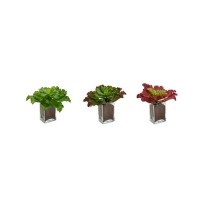 Decorative Plant Ibergarden YD180208 Plastic Sheets Large 31 x 24 x 31 cm Bicoloured (6 Units)