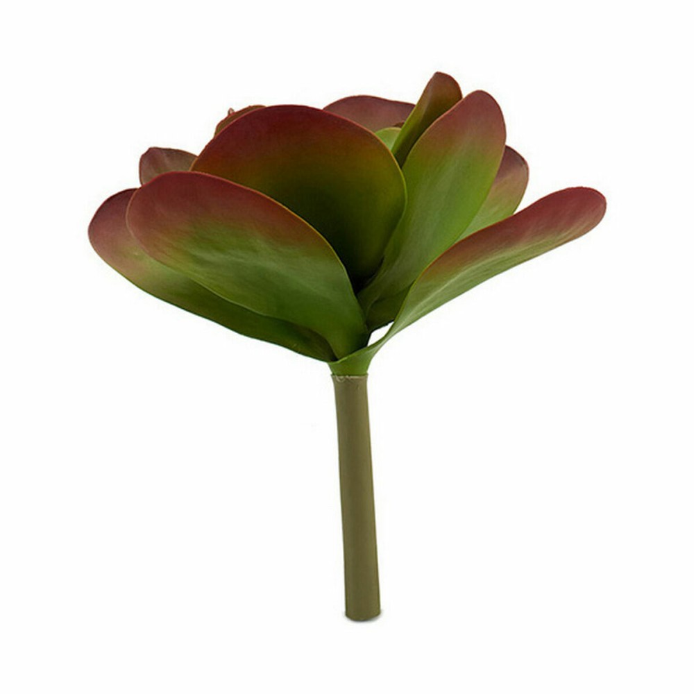 Plante décorative Ibergarden YD0001 Plastique Volets Grand 27 x 29 x 27 cm Bicolore (6 Unités)