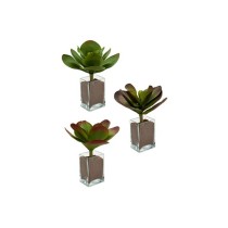 Plante décorative Ibergarden YD0001 Plastique Volets Grand 27 x 29 x 27 cm Bicolore (6 Unités)