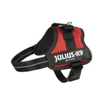 Dog Harness Julius K9 Power Red M