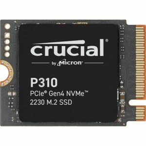 Disque dur Crucial CT1000P310SSD2