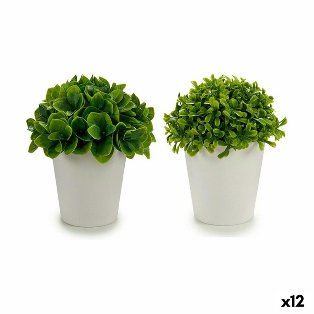 Plante décorative Ibergarden A18124-128-1WH Plastique 13 x 17 x 13 cm (12 Unités)