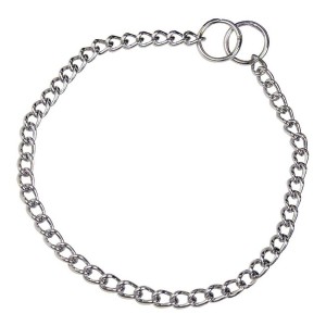 Collier pour Chien Hs Sprenger Argenté 2,5 mm Maillons Torsadé (60 cm)