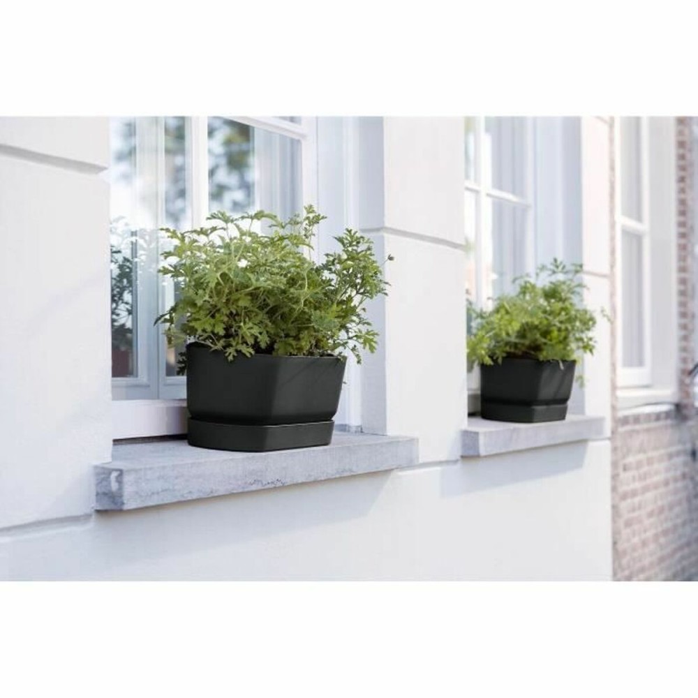 Jardinière Elho   Noir 50 cm Plastique Ovale