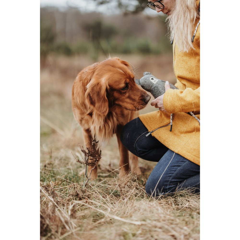 Kuscheltier für Hunde Hunter Grau 100 % Recycelter Bär