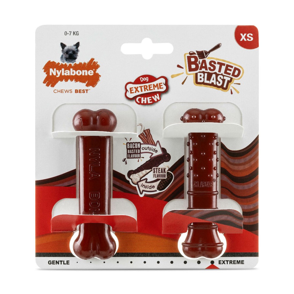 Bone Nylabone Brown Bacon XS 2 Units