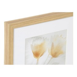 Cadre DKD Home Decor Drawed Leaf 33 x 3 x 38 cm Traditionnel Feuille d'une plante (2 Unités)