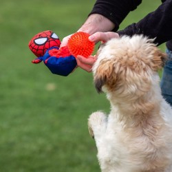 Hundespielzeug Spider-Man Rot