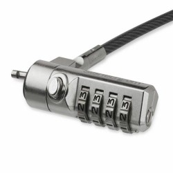 Câble de sécurité Startech LTLOCK4D 2 m