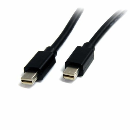 Mini-Anzeigeport-Kabel Startech MDISP2M              (2 m) 4K Ultra HD Schwarz