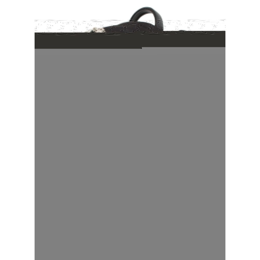 Dolce & Gabbana Goldenes Schwein-Motiv Luxe-Rucksack