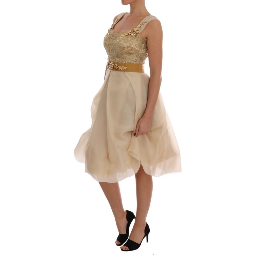 Dolce & Gabbana Elegantes Seidenkleid aus Spitze und Organza mit Verzierungen