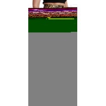 Dolce & Gabbana Hochtaillierte schwarz-goldene Luxe-Shorts