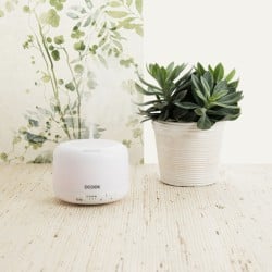 Humidifier Dcook Gallery 300 ml