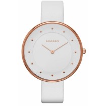 Montre Femme Skagen SKW2291 (Ø 38 mm)