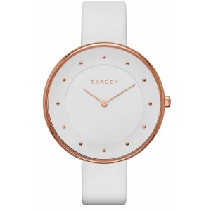 Montre Femme Skagen SKW2291 (Ø 38 mm)