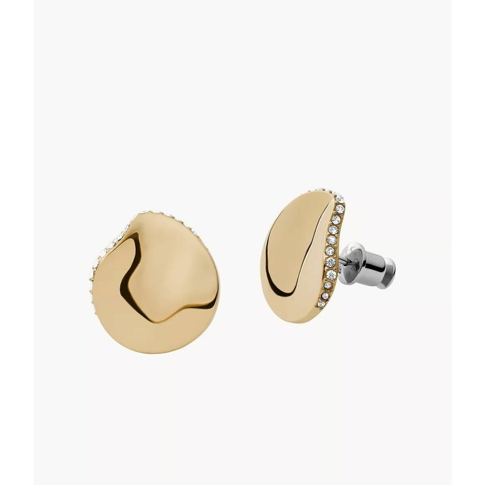 Damenohrringe Skagen SKJ1511710 Edelstahl
