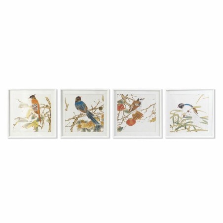 Cadre DKD Home Decor 60 x 2,5 x 60 cm Oiseau Shabby Chic (4 Pièces)