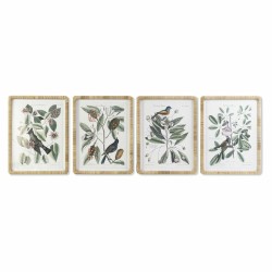 Cadre DKD Home Decor 50 x 2,5 x 65 cm Shabby Chic Plantes botaniques (4 Pièces)