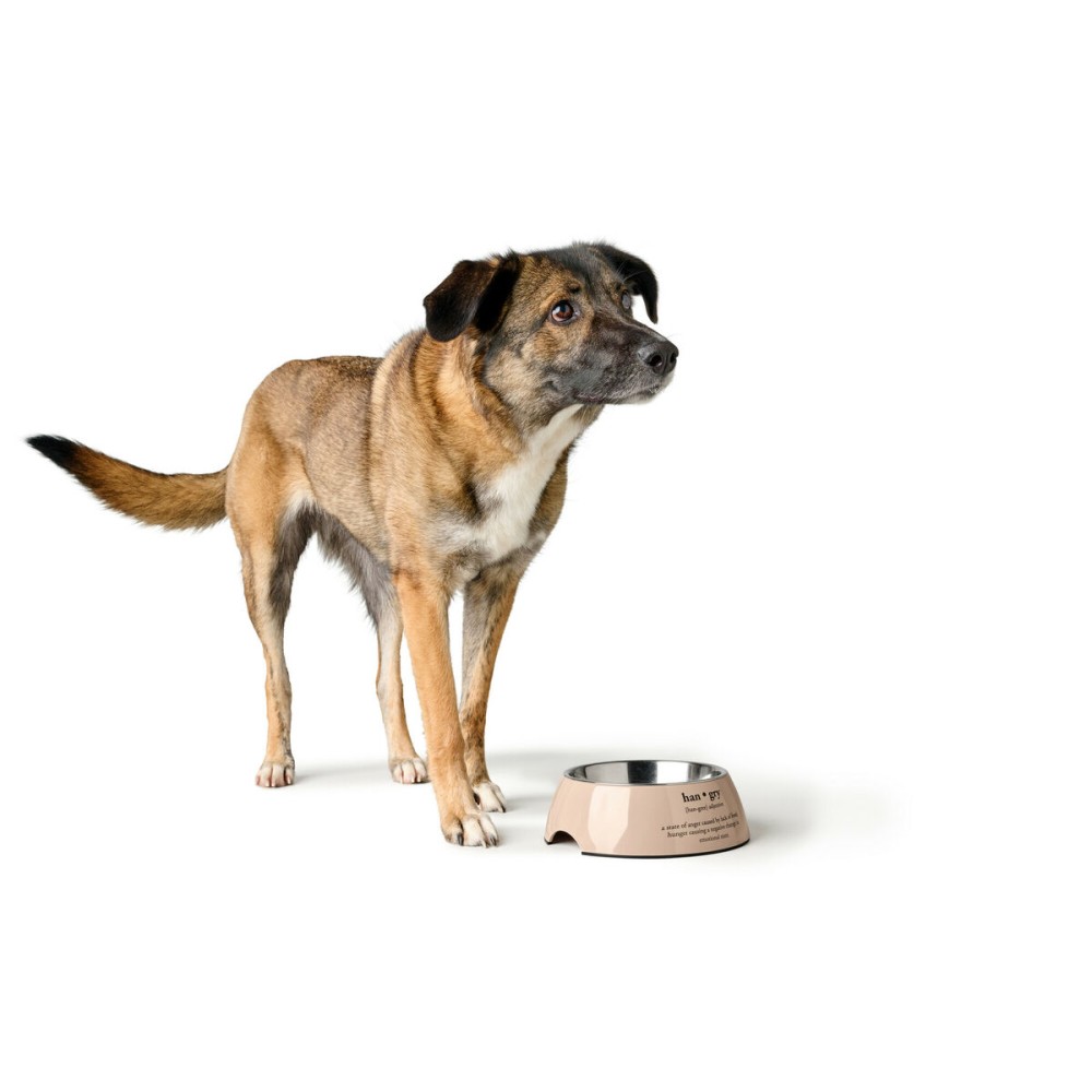 Mangeoire pour chiens Hunter LUTON 700 ml