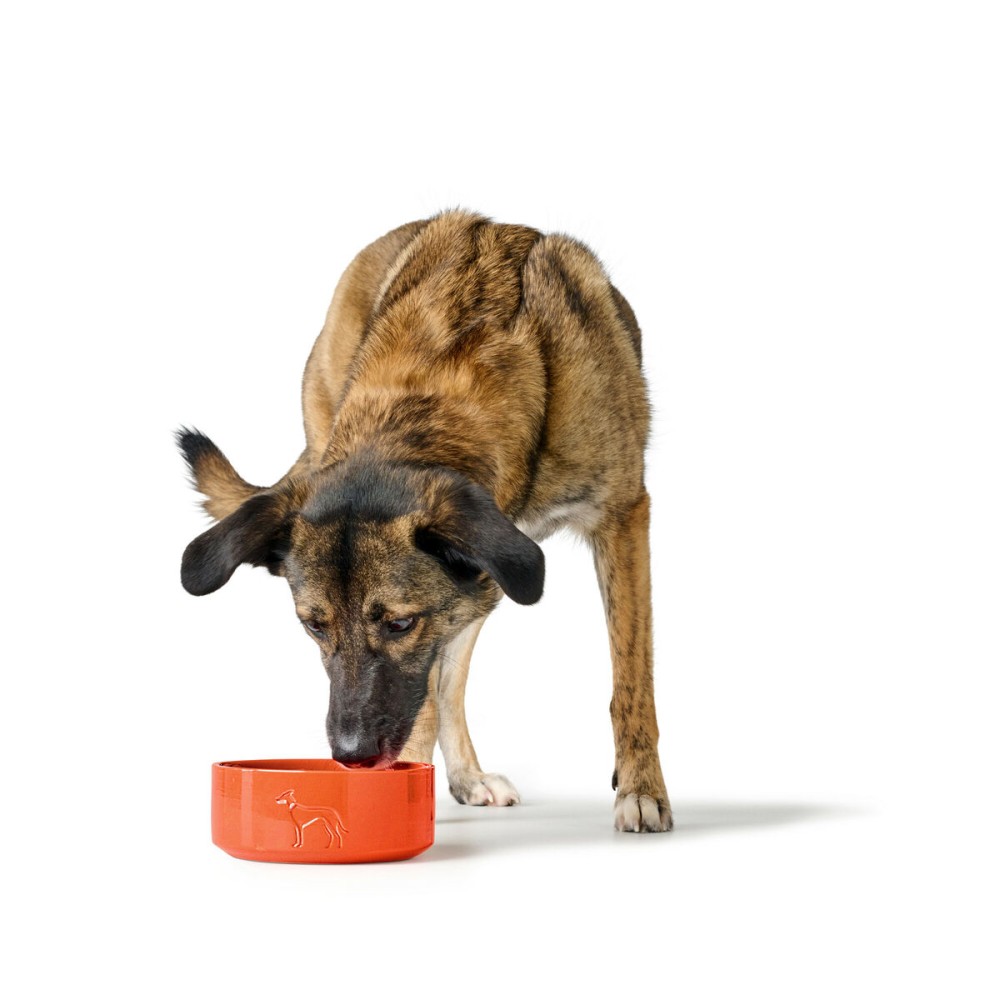 Futternapf für Hunde Hunter OSBY Orange
