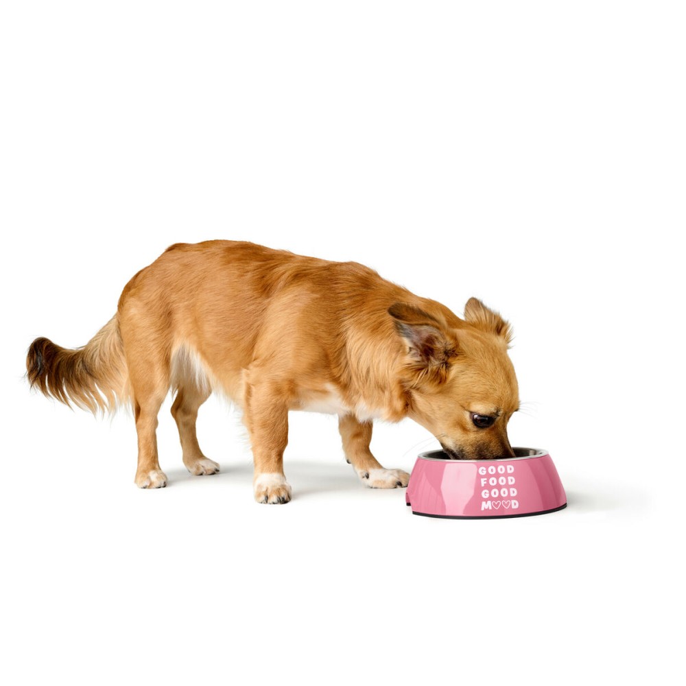 Mangeoire pour chiens Hunter Chester Rose 350 ml