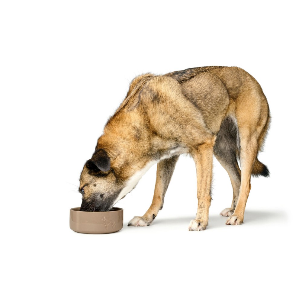 Futternapf für Hunde Hunter OSBY