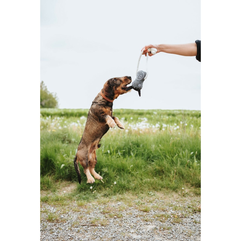 Jouet pour chien Hunter Nebraska Marron Vache