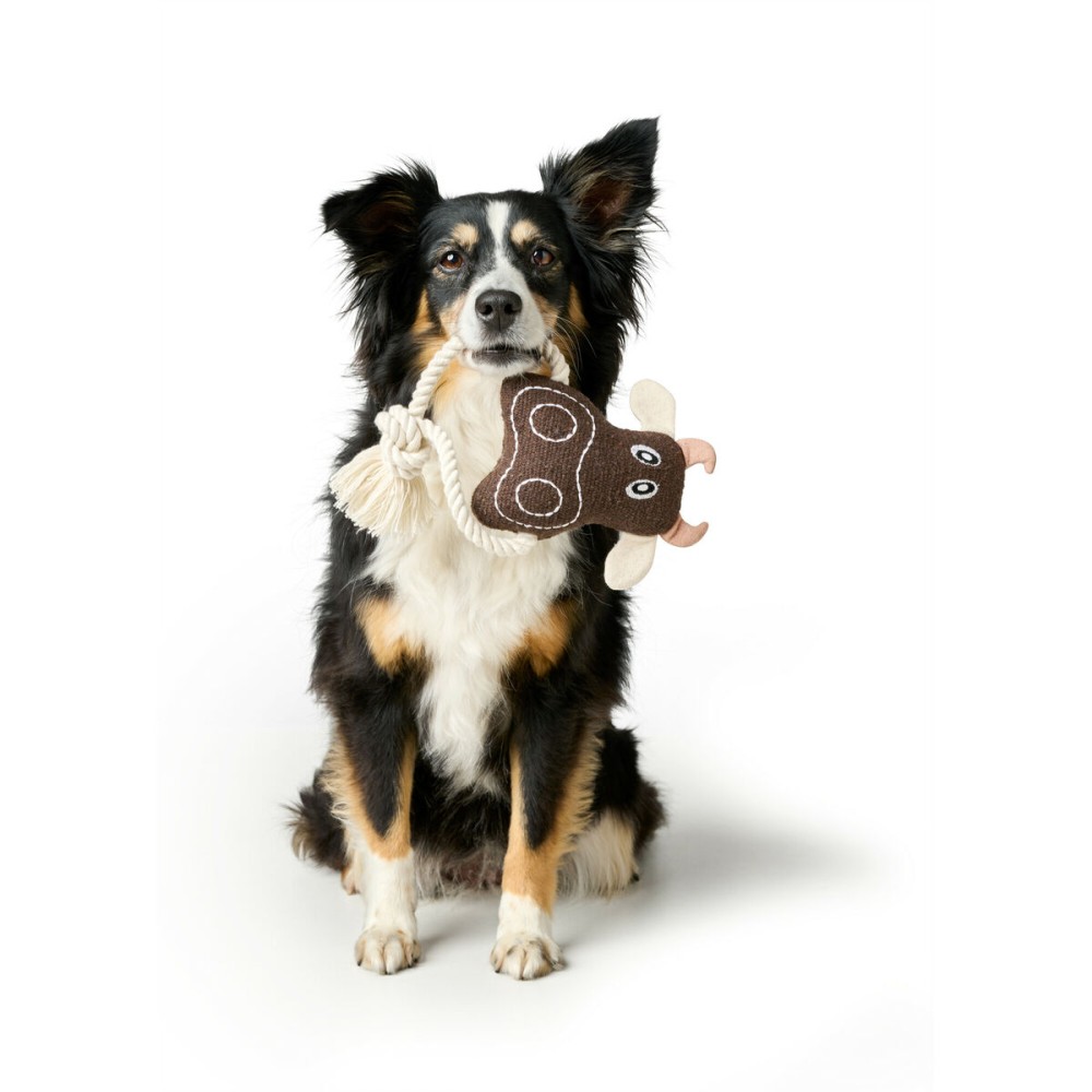 Dog toy Hunter Nebraska Brown Cow