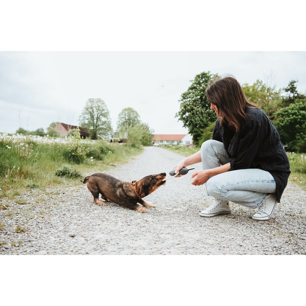 Jouet pour chien Hunter Nebraska Marron Vache
