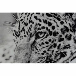 Painting DKD Home Decor 100 x 2,5 x 100 cm Leopard Colonial (2 Units)