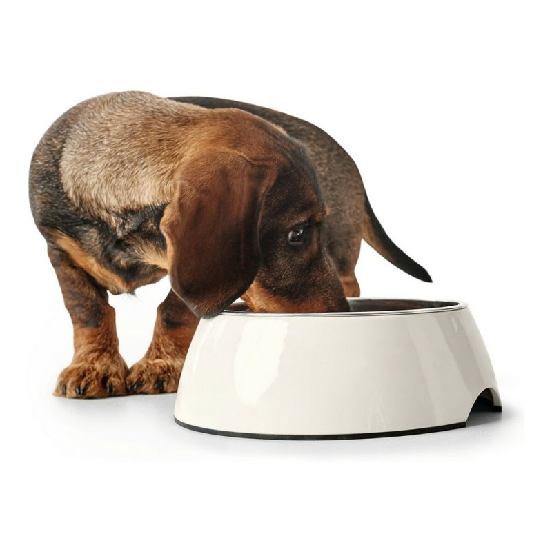 Dog Feeder Hunter Melamin Stainless steel White 350 ml (18,5 x 18,5 x 9,5 cm)