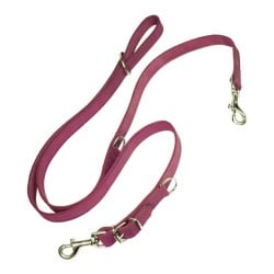 Dog Lead Gloria Oasis Multiple 2.1 x 200 cm Pink