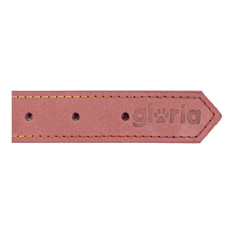 Collier pour Chien Gloria Oasis Rose (1,5 x 40 cm)