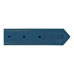 Collier pour Chien Gloria Oasis Bleu (65 x 3 cm)