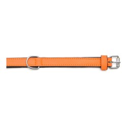 Collier pour Chien Gloria Rembourré Orange (35 x 1,5 cm)