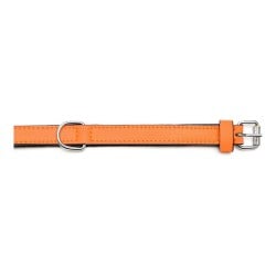 Dog collar Gloria Padded Orange (35 x 1,5 cm)