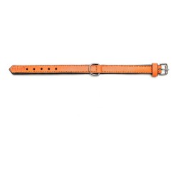 Hundehalsband Gloria Polsterung Orange 35 cm (35 x 1,5 cm)