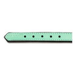 Collier pour Chien Gloria Rembourré Vert (35 x 1,5 cm)