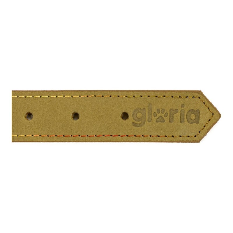 Collier pour Chien Gloria Oasis Vert (65 x 3 cm)