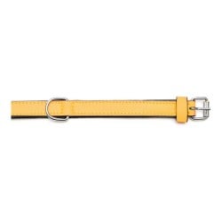 Collier pour Chien Gloria Rembourré Jaune (35 x 1,5 cm)