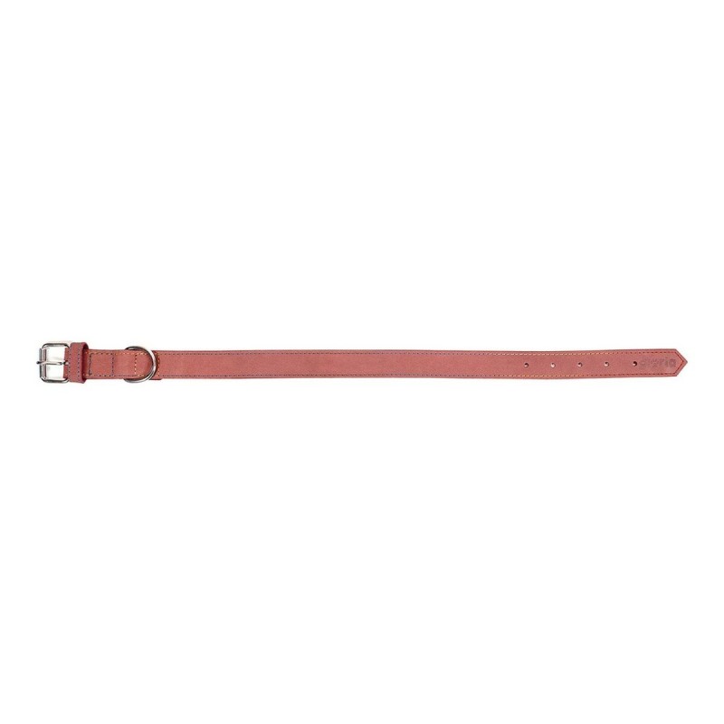 Hundehalsband Gloria Oasis Rosa 55 cm (55 x 2,5 cm)