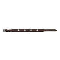 Collier pour Chien Hunter Swiss 30-34.5 cm