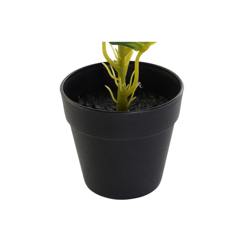 Plante décorative DKD Home Decor PVC polypropylène 25 x 25 x 30 cm