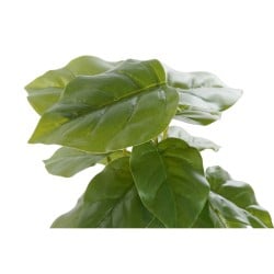 Plante décorative DKD Home Decor PVC polypropylène 20 x 20 x 30 cm