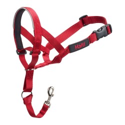 Collier d'entraînement pour chiens Company of Animals Halti Muselière (35-48 cm)