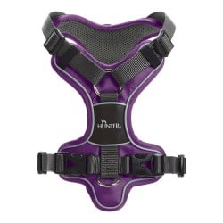 Dog Harness Hunter Divo 52-68 cm Purple Size S/M