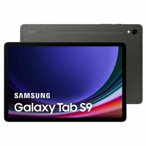 Tablette Samsung Galaxy Tab S9 8 GB RAM 11" 128 GB Gris