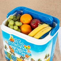 Portable Fridge Aktive The Havana Vibes 24 L