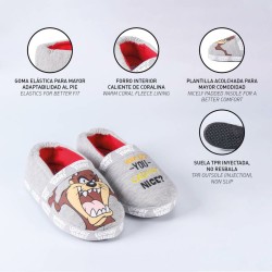 House Slippers Looney Tunes Light grey